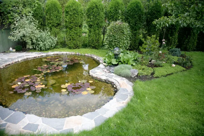 Tips For Creating A Low-maintenance Backyard Landscape Santa Clarita CA Tips For Creating A Low-maintenance Backyard Landscape Santa Clarita CA